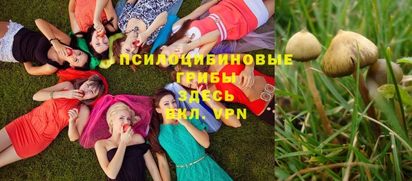 альфа пвп Верхнеуральск