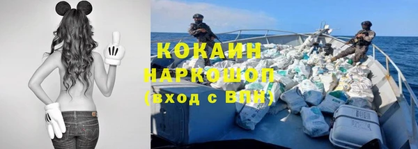 МДПВ Новозыбков