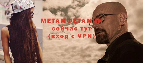 прущие грибы Вяземский