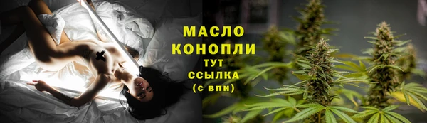 прущие грибы Вяземский