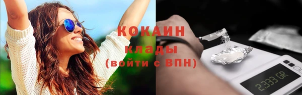 прущие грибы Вяземский