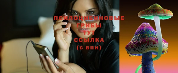 соль ск Волоколамск