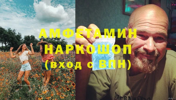 гидра Вязники